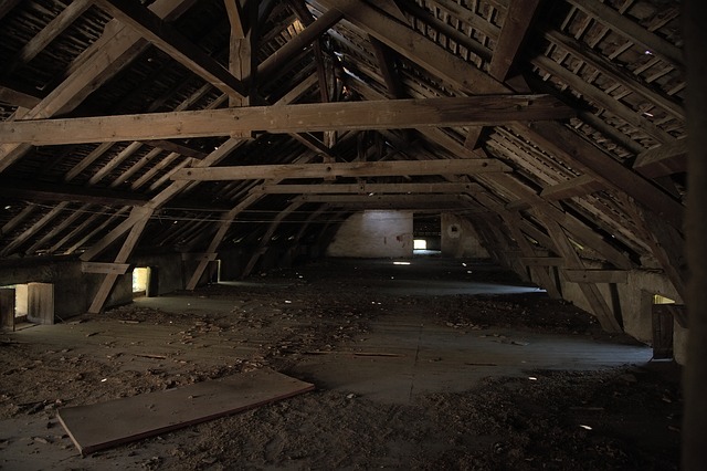 Animal Exclusion From Attic In Southern Maine